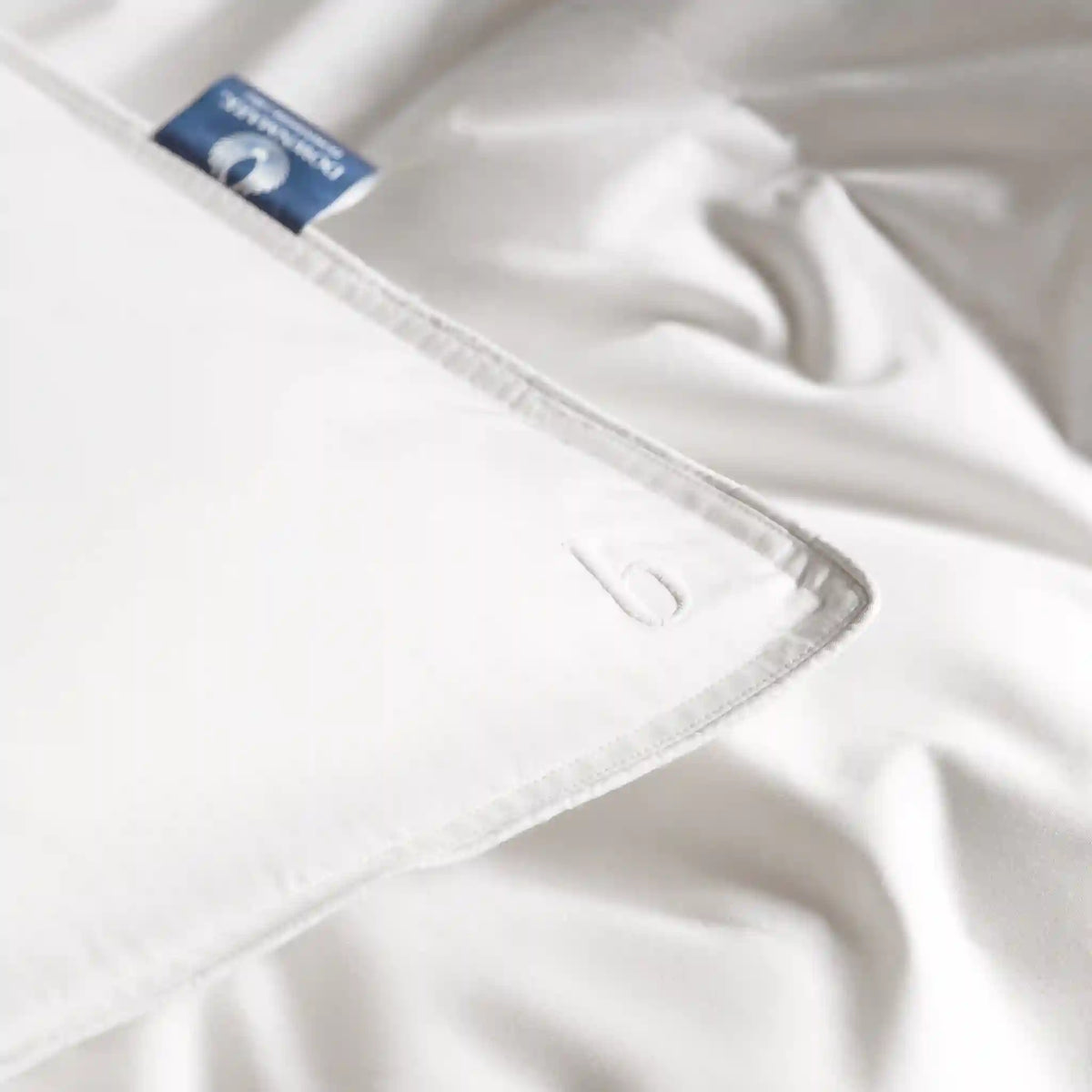 Down Pillow