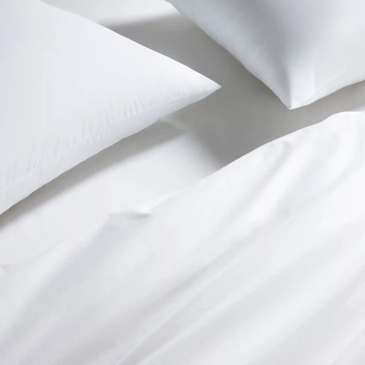 Classic Percale Fitted Sheet