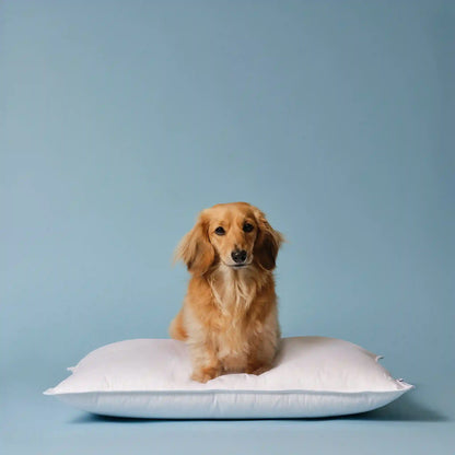 Down Pillow